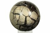 Polished, Septarian Geode Sphere - Madagascar #219112-1